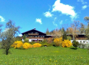 Отель Biohof Schwanser  Штайнбах Ам Аттерзе